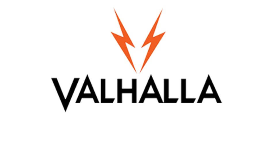 Valhalla Pool Cues
