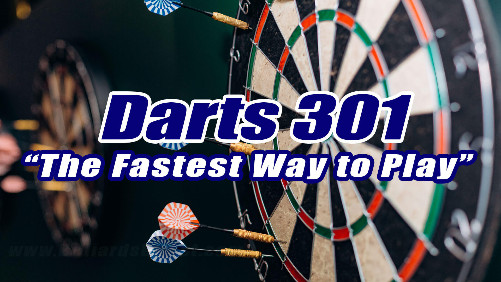 301 darts on sale