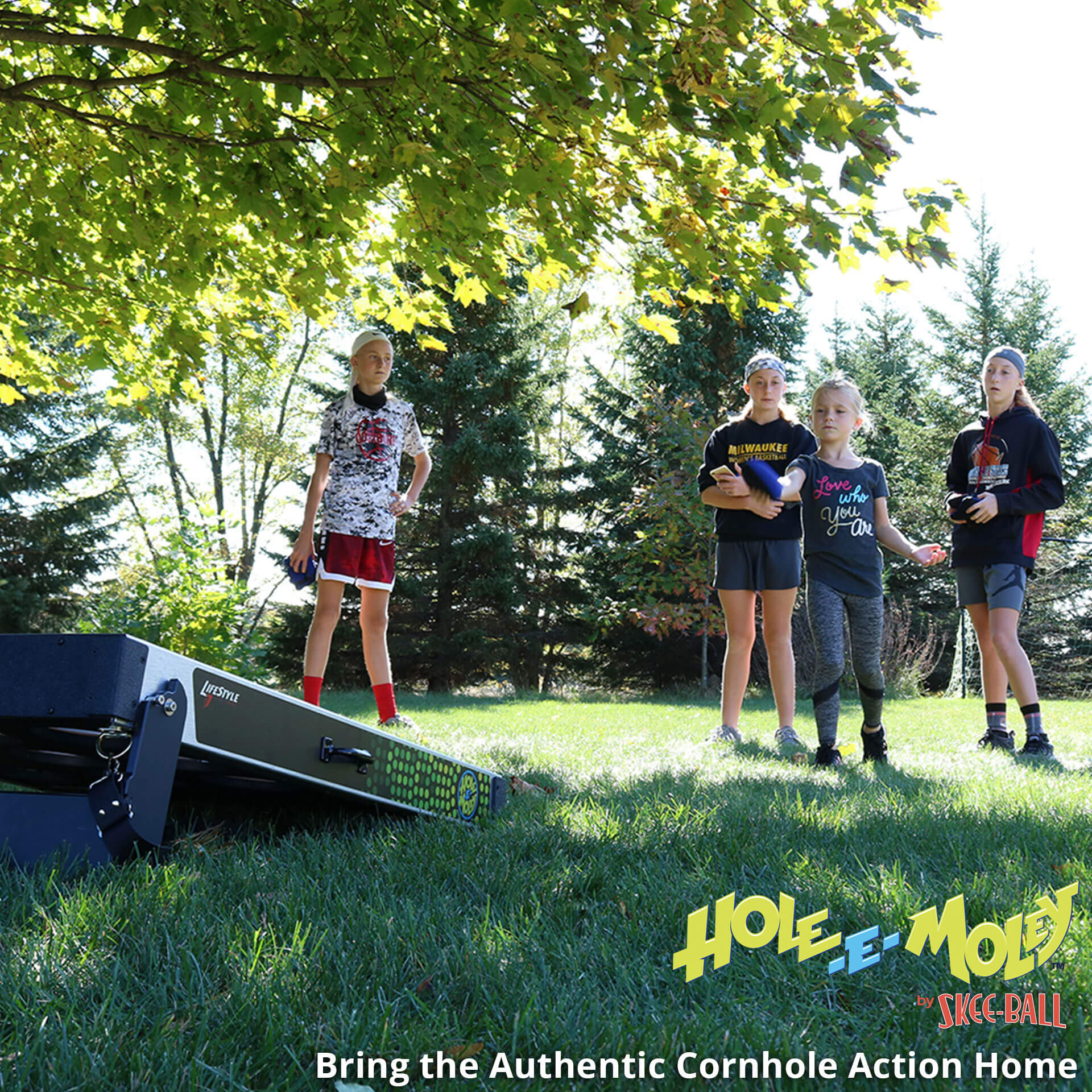 Hole-E-Moley Cornhole Game for Sale