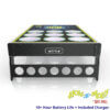 Hole-E-Moley Cornhole Game for Sale