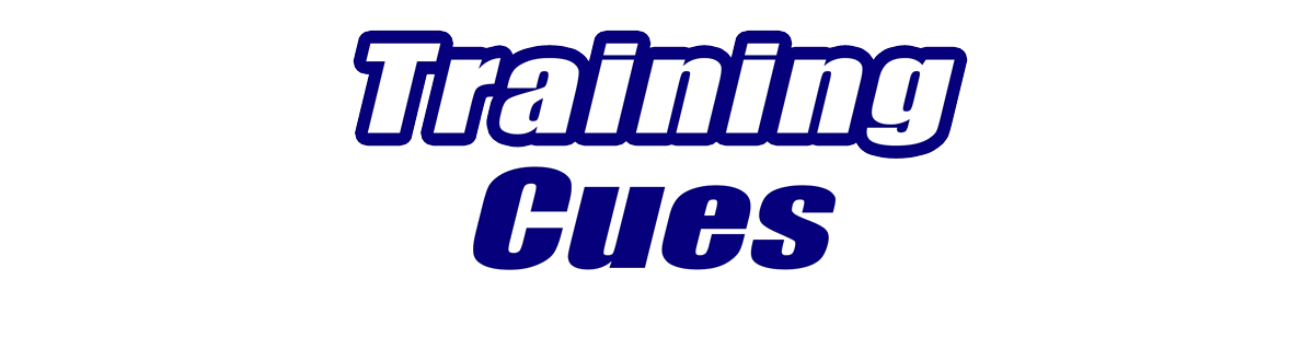 Training Pool Cues Training Pool Cues for Sale