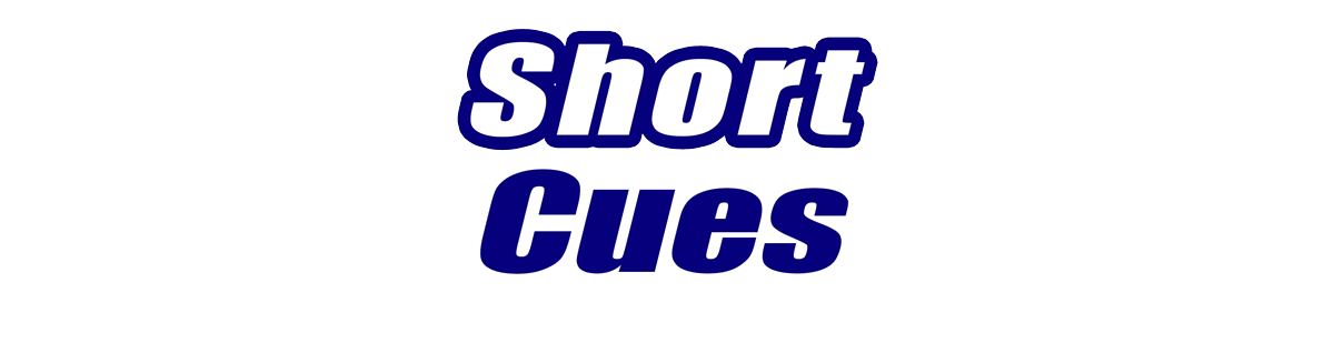 Short Pool Cues Short Pool Cues for Sale
