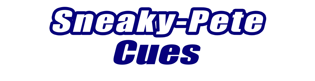 Sneaky-Pete Pool Cues Sneaky-Pete Pool Cues for Sale