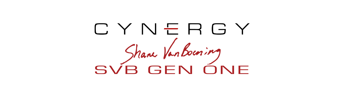 Cynergy SVB Series Pool Cues Cynergy SVB Series Pool Cues for Sale